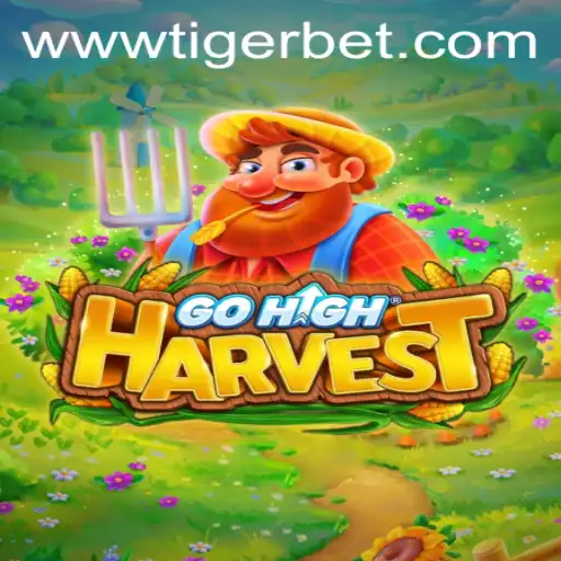 Exploring the World of GoHighHarvest and the Enticing 'Tiger Bet'